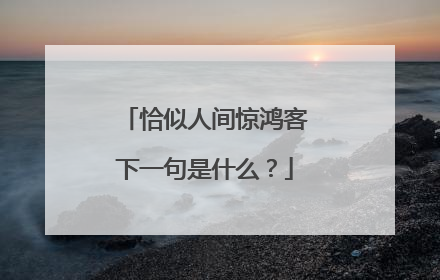 恰似人间惊鸿客下一句是什么?