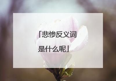 悲惨反义词是什么呢