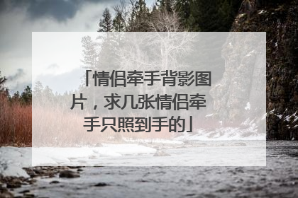 情侣牵手背影图片,求几张情侣牵手只照到手的