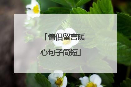 情侣留言暖心句子简短