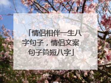情侣相伴一生八字句子，情侣文案句子简短八字