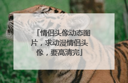 情侣头像动态图片,求动漫情侣头像,要高清完
