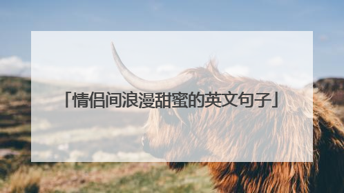情侣间浪漫甜蜜的英文句子