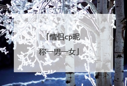 情侣cp昵称一男一女