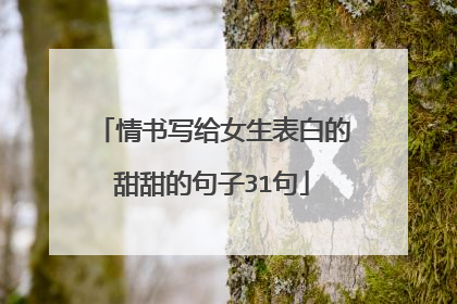 情书写给女生表白的甜甜的句子31句
