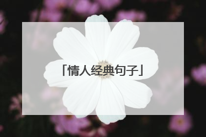 情人经典句子