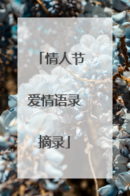 情人节爱情语录摘录