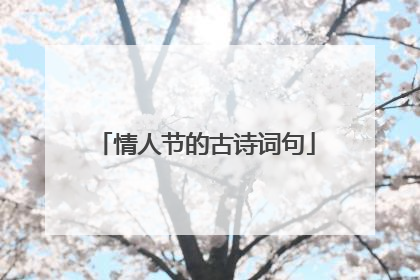 情人节的古诗词句