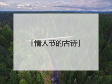 情人节的古诗