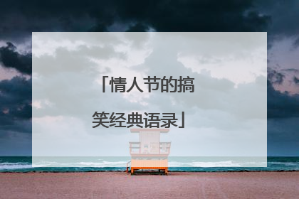 情人节的搞笑经典语录