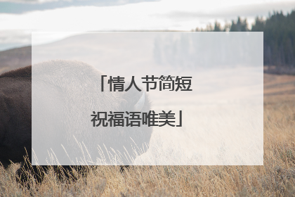 情人节简短祝福语唯美