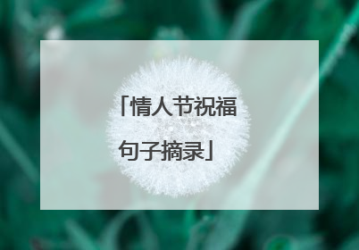 情人节祝福句子摘录