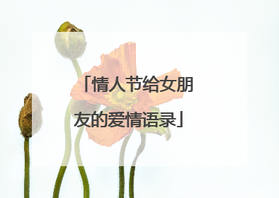 情人节给女朋友的爱情语录
