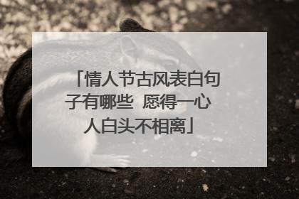 情人节古风表白句子有哪些 愿得一心人白头不相离