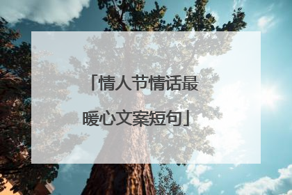 情人节情话最暖心文案短句