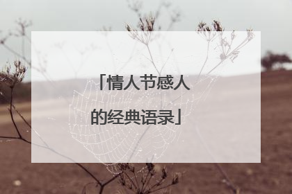 情人节感人的经典语录