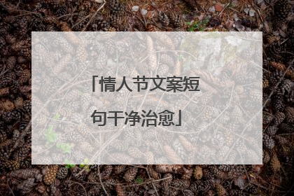 情人节文案短句干净治愈