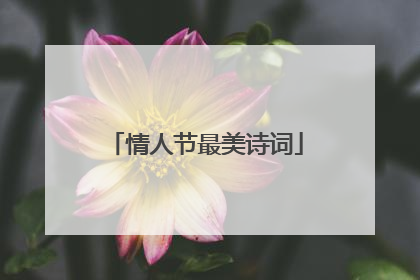 情人节最美诗词