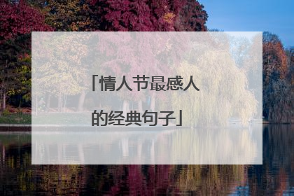 情人节最感人的经典句子