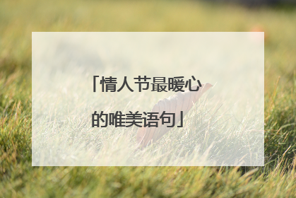 情人节最暖心的唯美语句