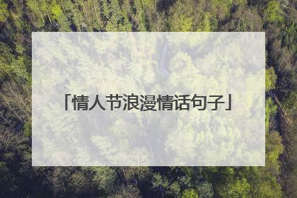 情人节浪漫情话句子