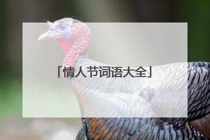 情人节词语大全