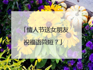 情人节送女朋友祝福语简短？