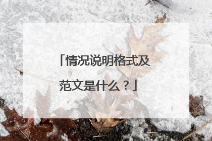 情况说明格式及范文是什么？
