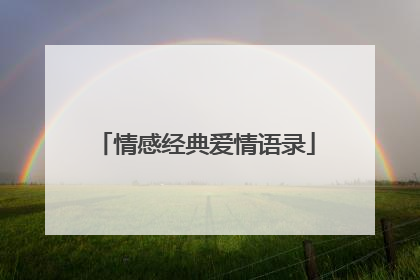 情感经典爱情语录