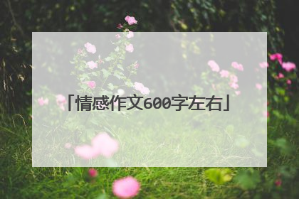 情感作文600字左右