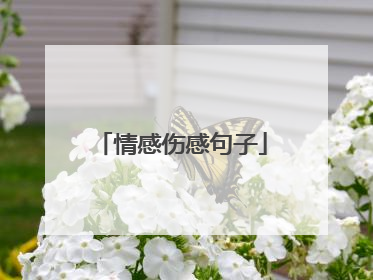 情感伤感句子