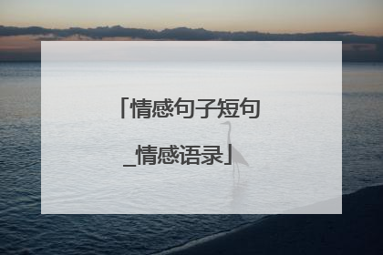 情感句子短句_情感语录