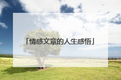 情感文章的人生感悟