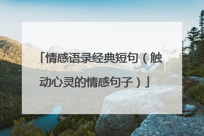 情感语录经典短句（触动心灵的情感句子）