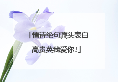 情诗绝句藏头表白 高贵英我爱你!
