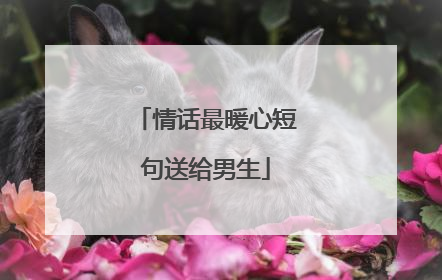 情话最暖心短句送给男生