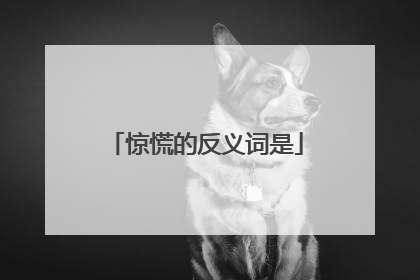 惊慌的反义词是