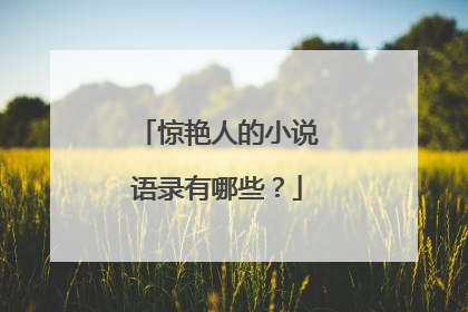 惊艳人的小说语录有哪些？