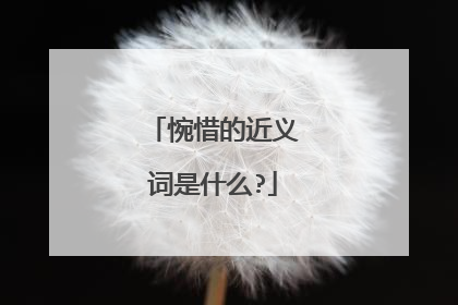 惋惜的近义词是什么?