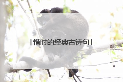 惜时的经典古诗句