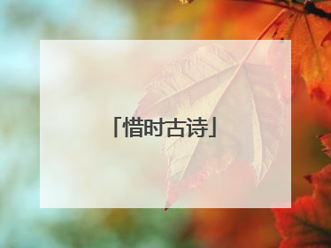 惜时古诗