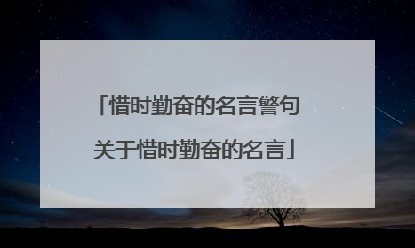 惜时勤奋的名言警句 关于惜时勤奋的名言