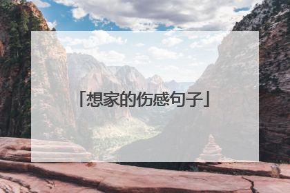 想家的伤感句子