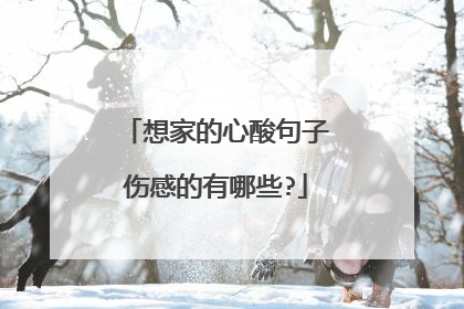 想家的心酸句子伤感的有哪些?