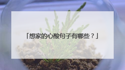 想家的心酸句子有哪些？