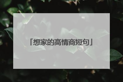 想家的高情商短句