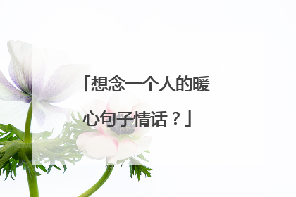 想念一个人的暖心句子情话？