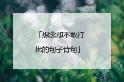 想念却不敢打扰的句子诗句