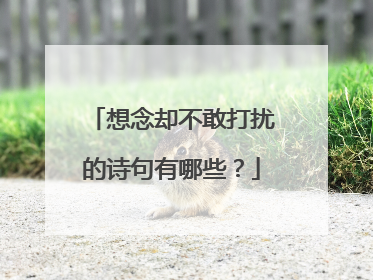 想念却不敢打扰的诗句有哪些？