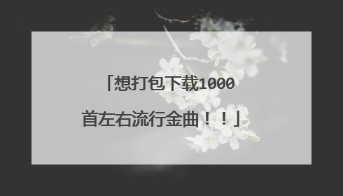 想打包下载1000首左右流行金曲!!